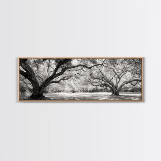 Sprawling Trees, Oak Forest, Sunlit Canopy, Majestic Branches, Canvas Print, Nature Wall Art, Boho Decor, Living Room Statement Piece