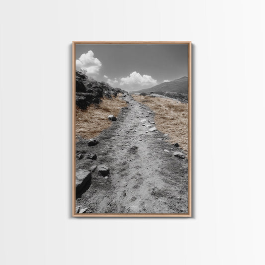 Desert Path, Solitude Trail, Nature Adventure, Canvas Print, Minimalist Landscape Wall Art, Entryway Rustic Decor, Fall Color Tones