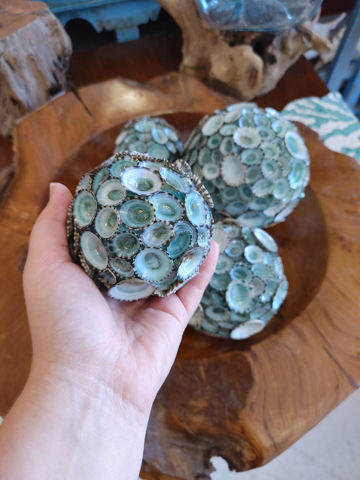 Blue Green Limpet Shell Sphere Ball