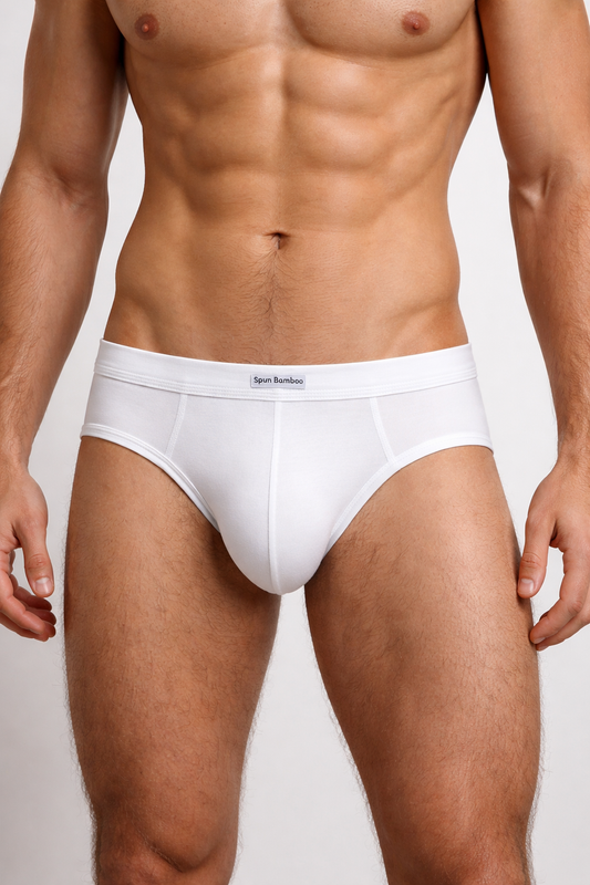 Men's Bamboo Viscose Briefs Underwear