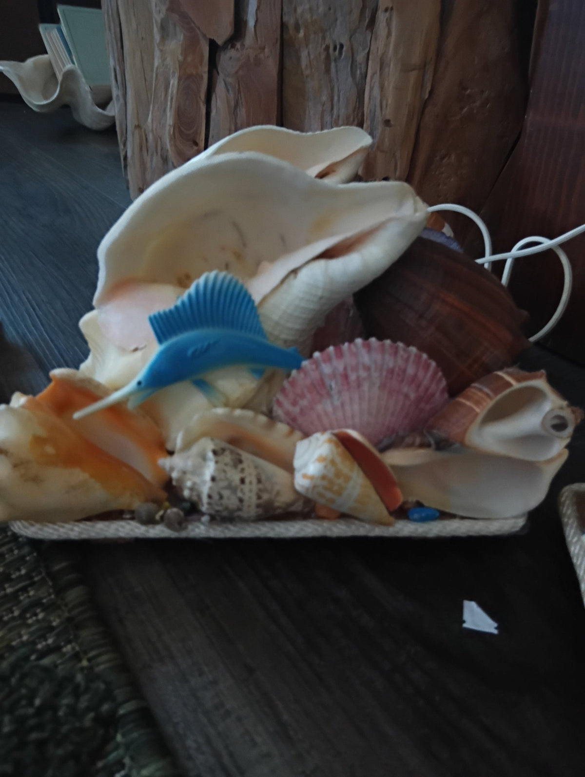 Chank & Mixed Seashells Novelty Light (Seahorse, Palm Tree, Flamingo, Crucifix Or Marlin Accent)