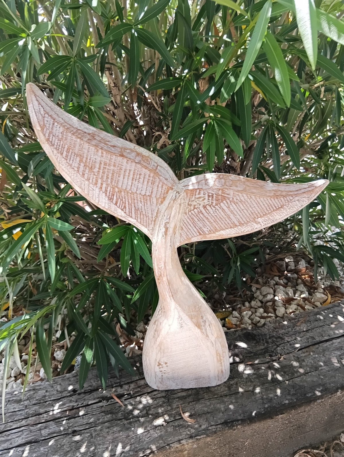 Large Handcrafted Natural Wooden Whale Tail