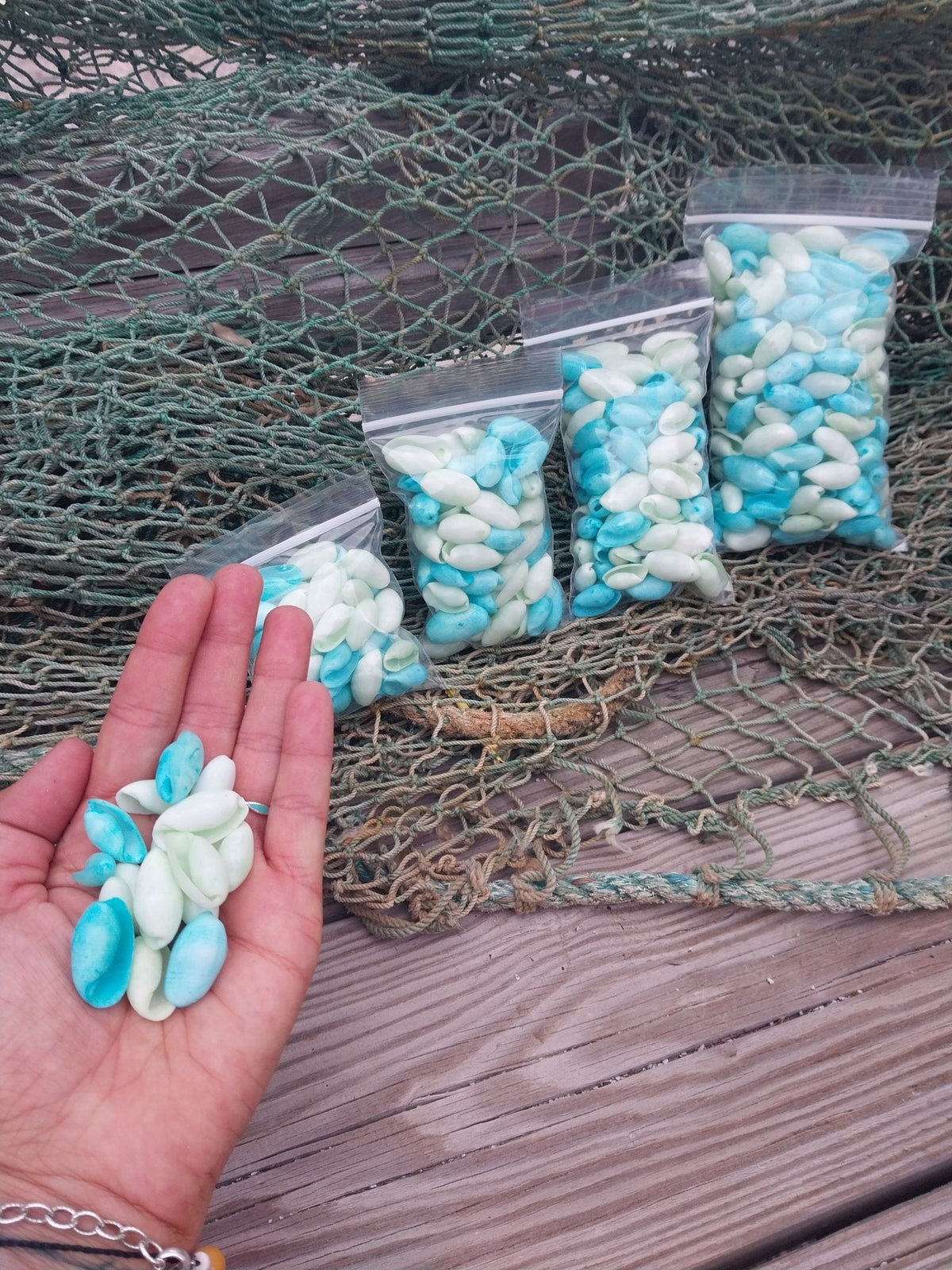 Bulk Pastel Dyed Bubble Shells – 3 oz Bag (80 Pieces) Craft & DIY Supplies