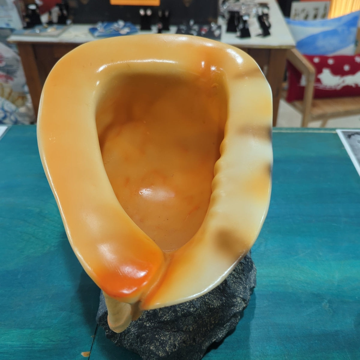 Yellow Helmet Shell on rock base