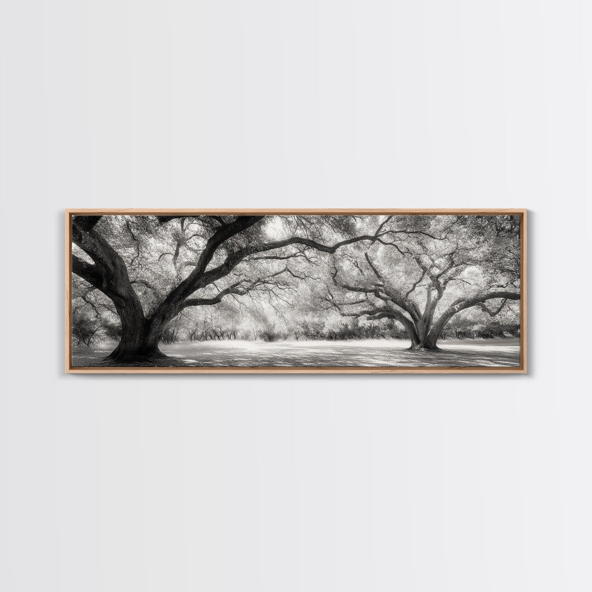 Sprawling Trees, Oak Forest, Sunlit Canopy, Majestic Branches, Canvas Print, Nature Wall Art, Boho Decor, Living Room Statement Piece