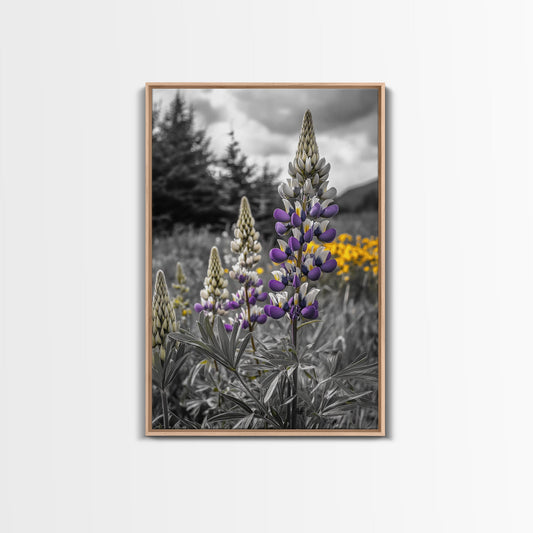 Purple Lupine Flowers, Wildflower Meadow Art, Country Botanical Print, Spring Nature Scene, Framed Canvas Print, Cottagecore Wall Art
