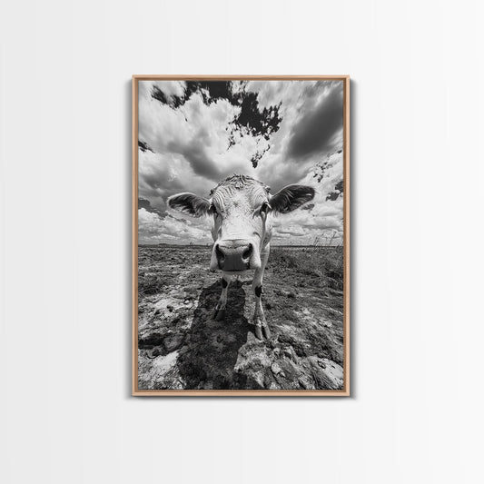 Rustic decor, vintage cow photography, framed canvas print, farmhouse art, black and white wall art, country aesthetic, moody art, southwest wall art