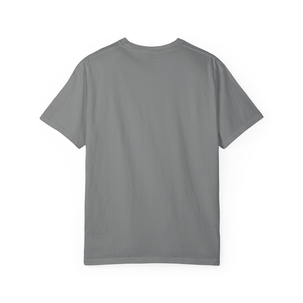 Pet Ownership Implies Control | Cat Humor T-Shirt