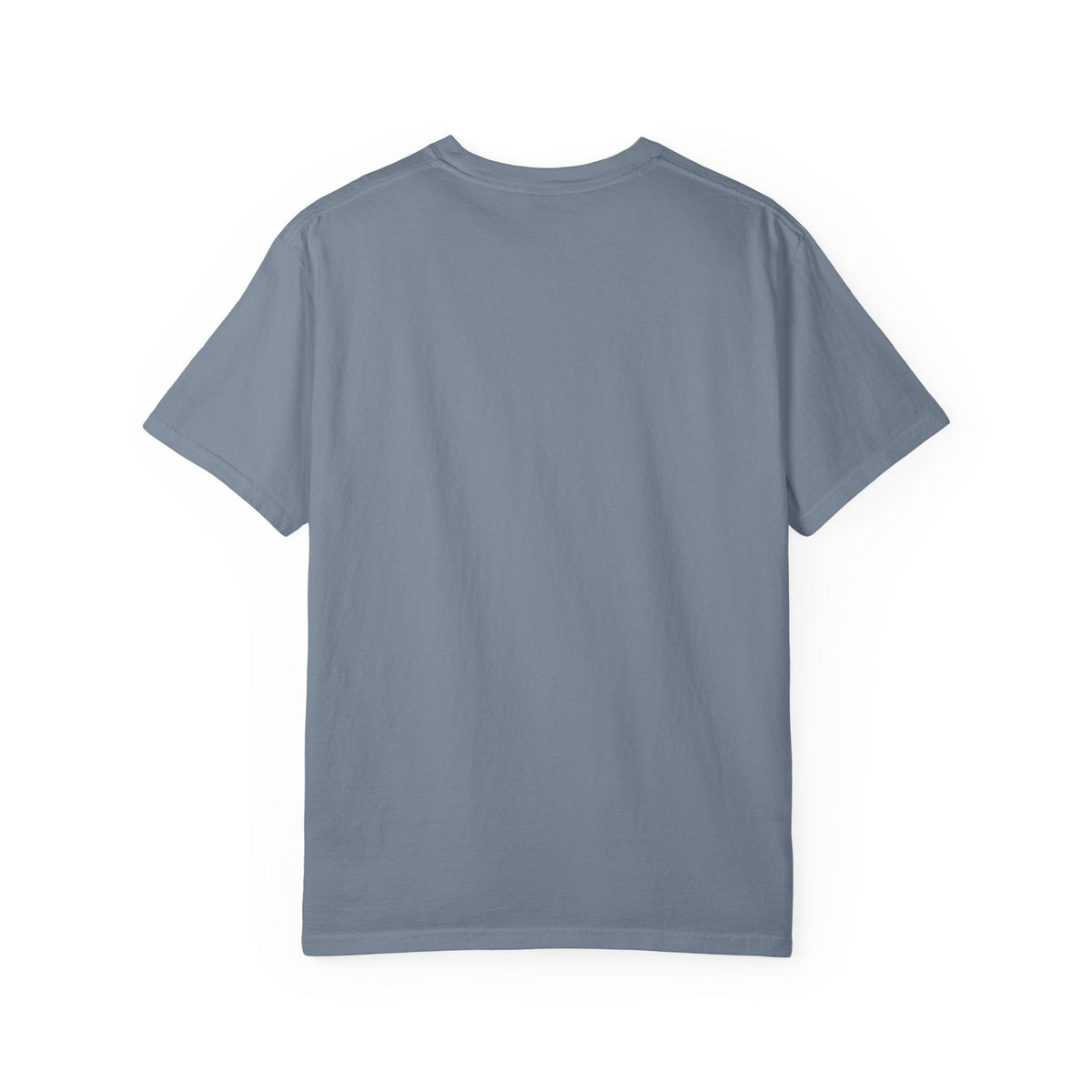 Pet Ownership Implies Control | Cat Humor T-Shirt