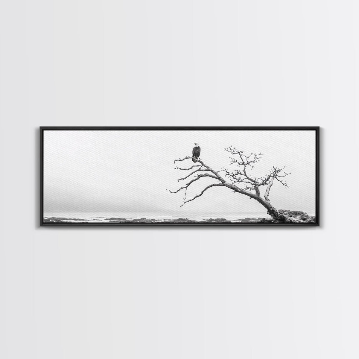 Bald Eagle, Tree Perch, Foggy Coast, Framed Canvas Print, Wildlife Photography, Cabin Wall Art, Rustic Minimalist Decor
