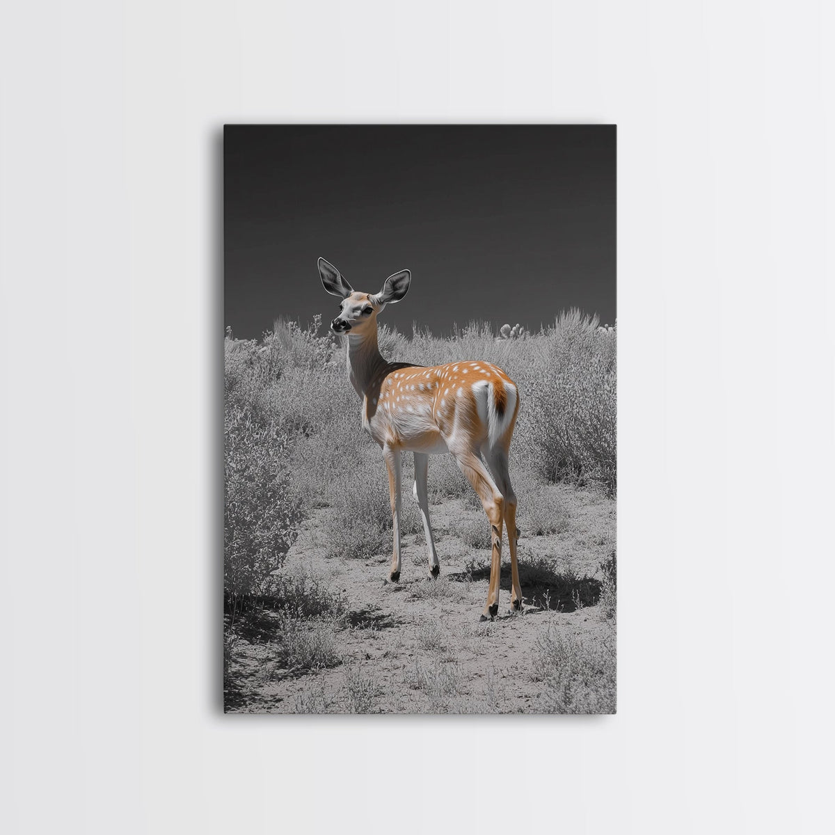 Baby Deer, Spotted Fawn, Desert Wildlife, Framed Canvas Print, Nursery Wall Art, Wildlife Nature Decor, Gentle Forest Animal Art