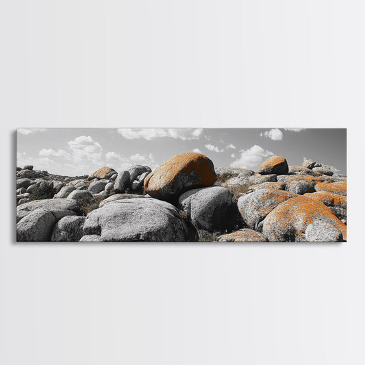 Granite Boulder Field, Orange Lichen Rocks, Desert Rockscape, Canvas Print, Natural Earth Decor, Living Room Wall Art