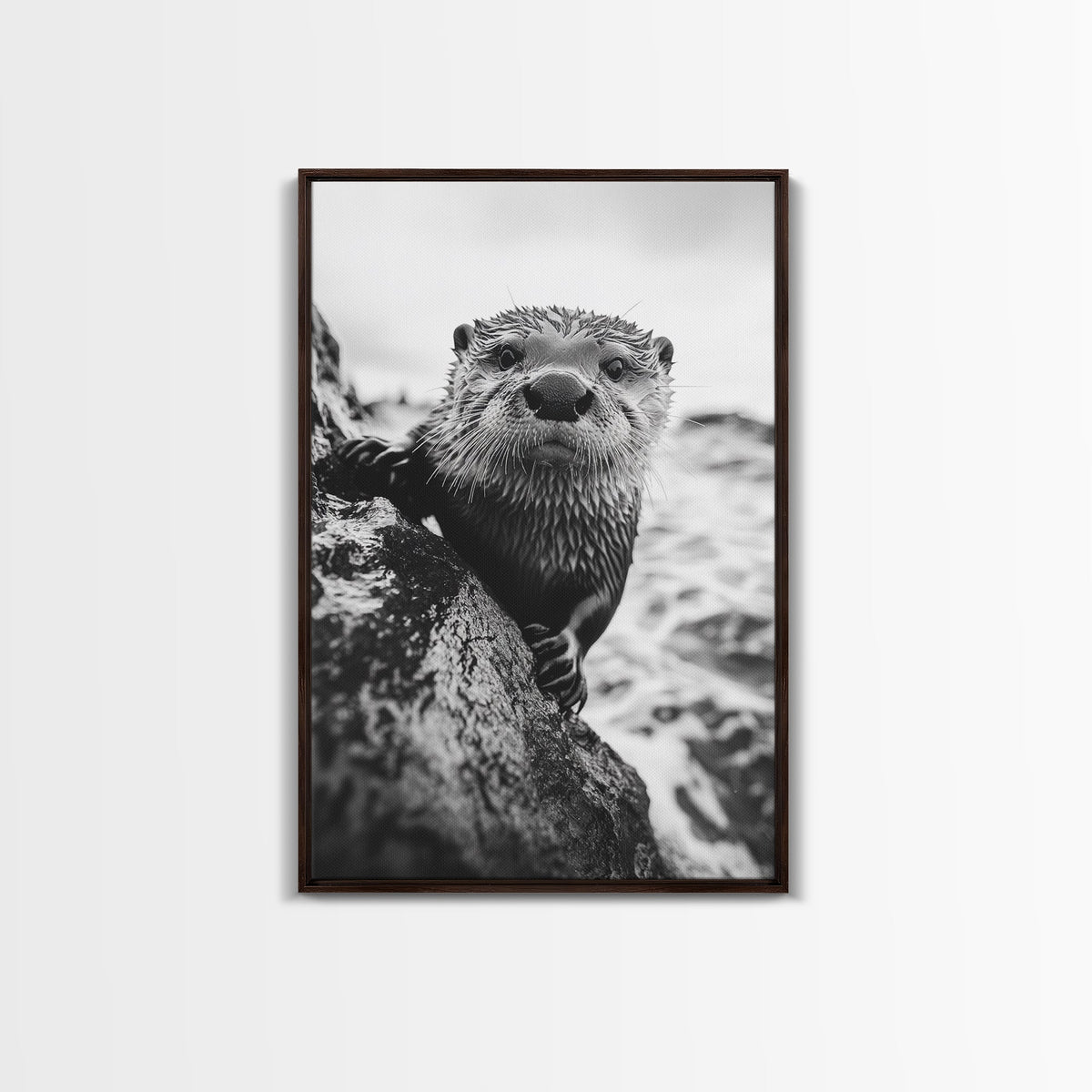 Curious Otter, Coastal Wildlife, Black and White, Animal Photography, Framed Canvas Print, Bathroom Wall Art, Nature Lover Gift