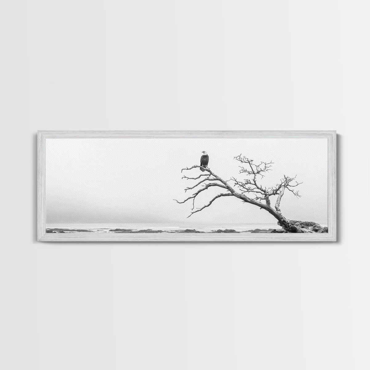 Bald Eagle, Tree Perch, Foggy Coast, Framed Canvas Print, Wildlife Photography, Cabin Wall Art, Rustic Minimalist Decor