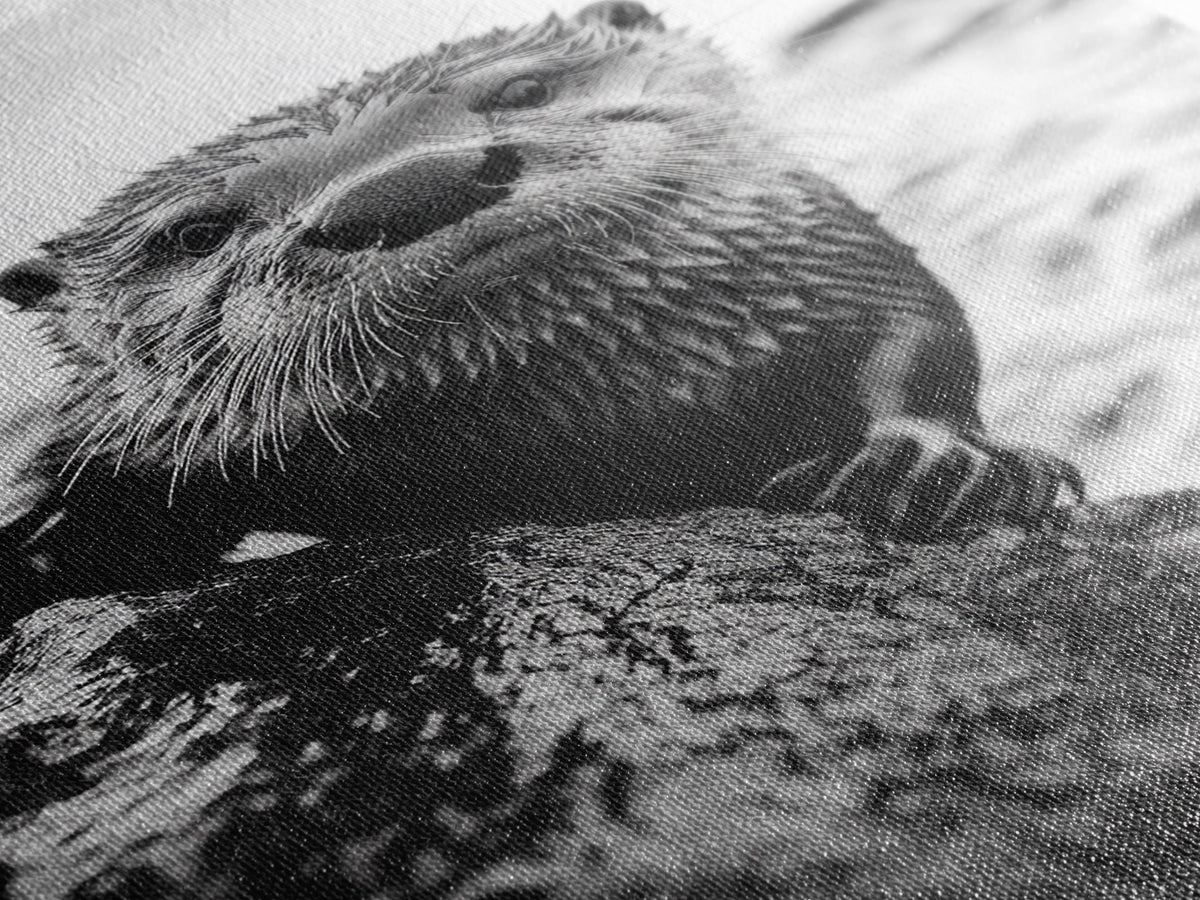 Curious Otter, Coastal Wildlife, Black and White, Animal Photography, Framed Canvas Print, Bathroom Wall Art, Nature Lover Gift