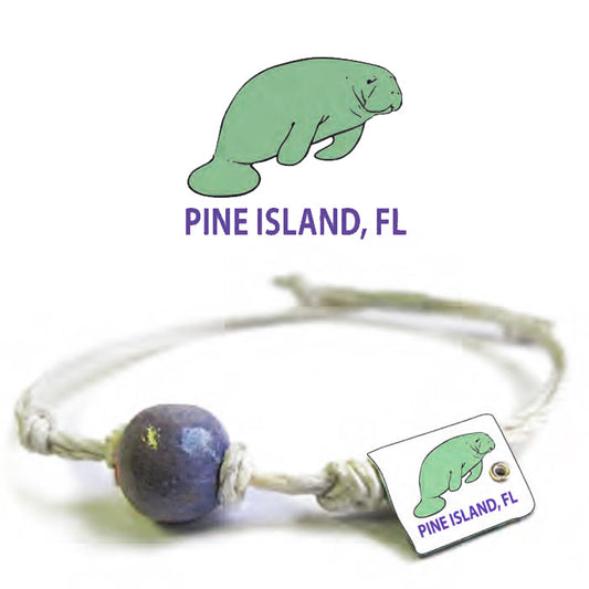 Manatee | Pine Island Fl