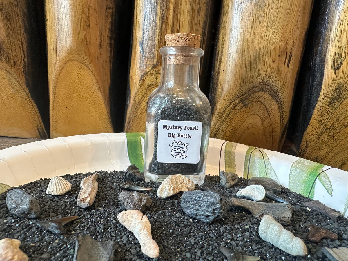 Mystery Fossil Dig Bottle