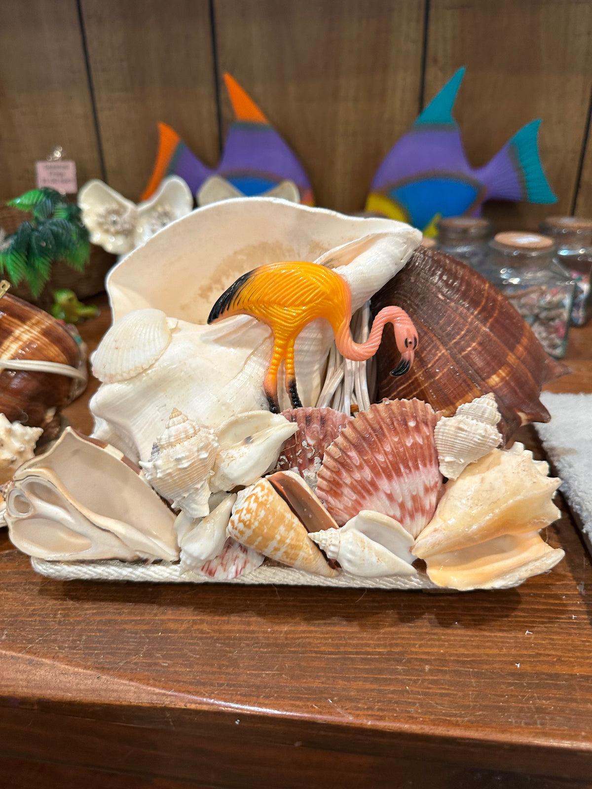 Chank & Mixed Seashells Novelty Light (Seahorse,  Palm Tree, Flamingo, Crucifix Or Marlin Accent)