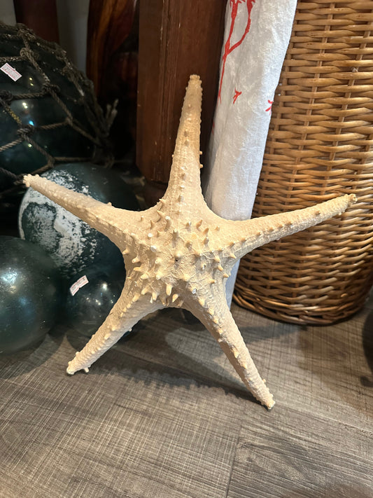 Vintage Thorny Tan Starfish Specimen 12" - Natural Marine Coastal Decor