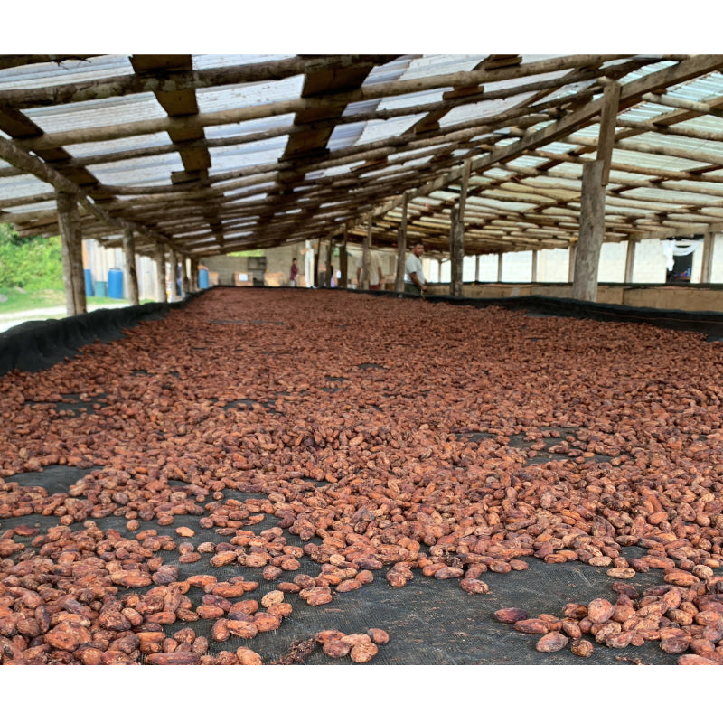 70% Belize Dark Chocolate