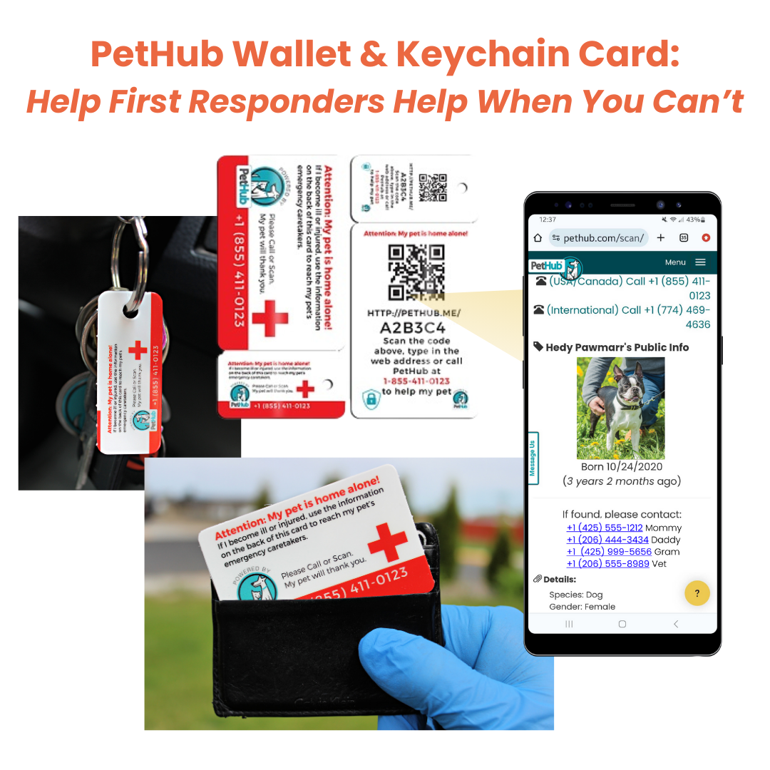 PetHub QR Pet ID Wallet & Keychain Card – Emergency Backup for Your Pet