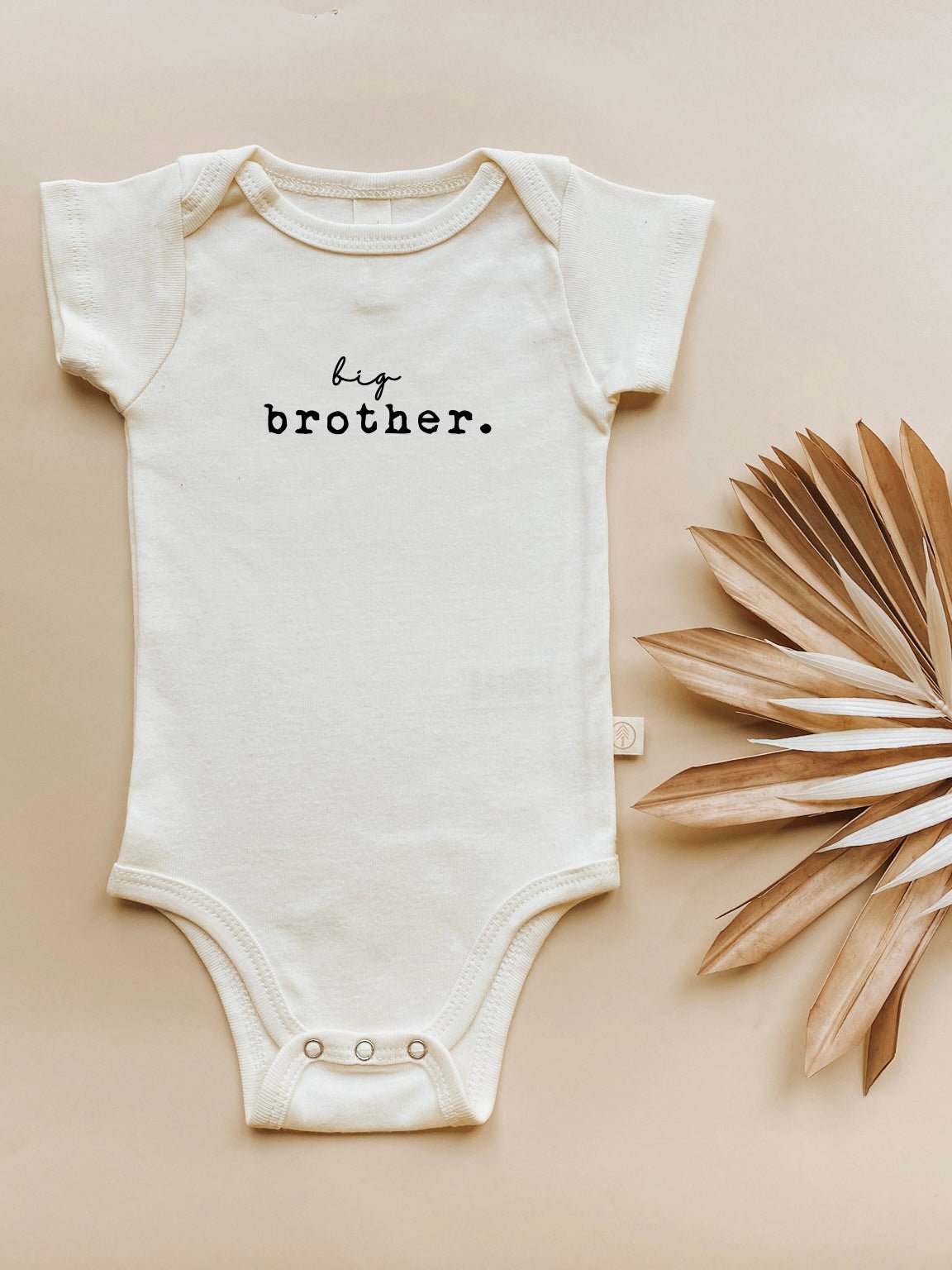Big Brother Organic Baby Bodysuit