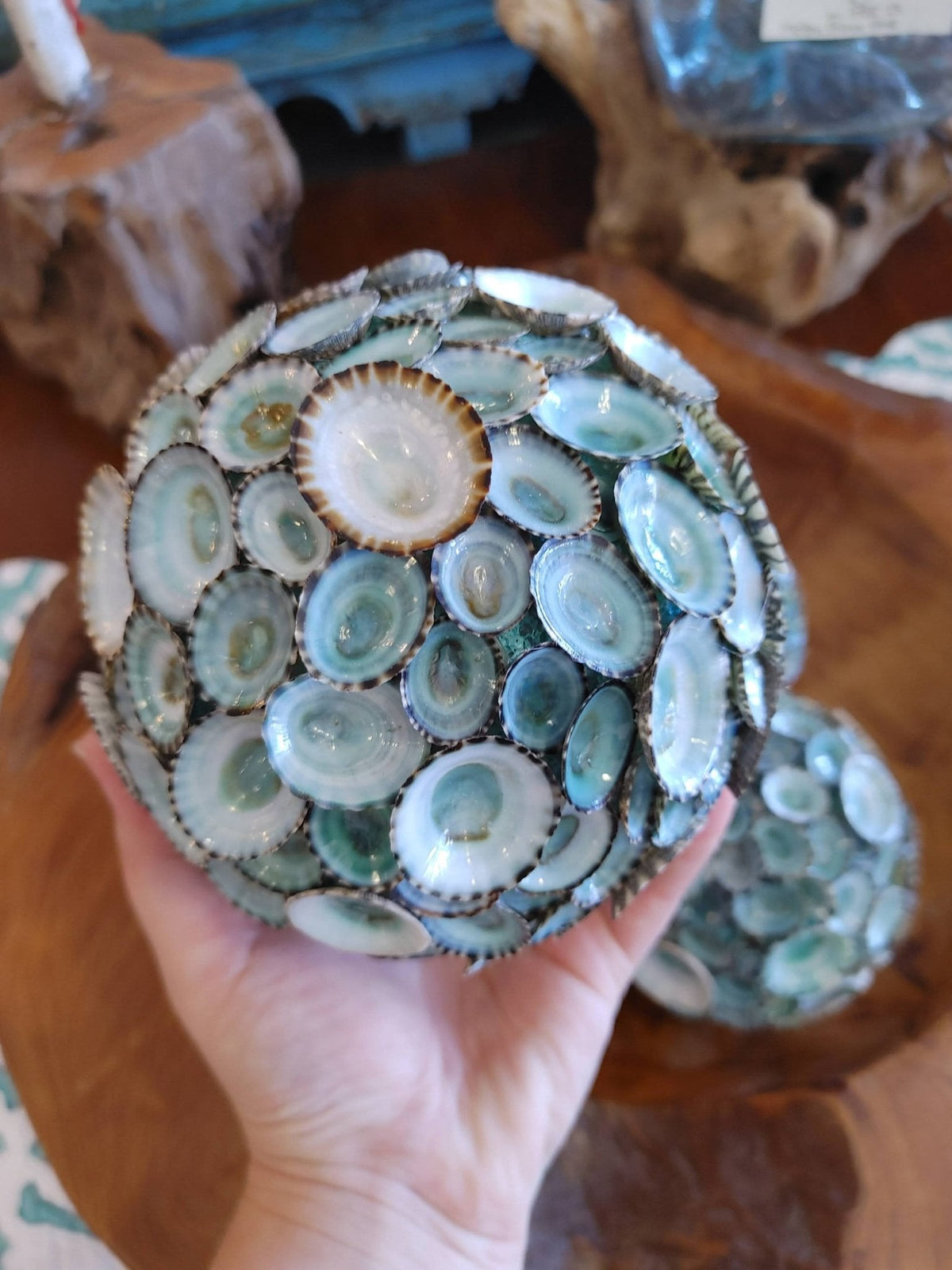 Blue Green Limpet Shell Sphere Ball