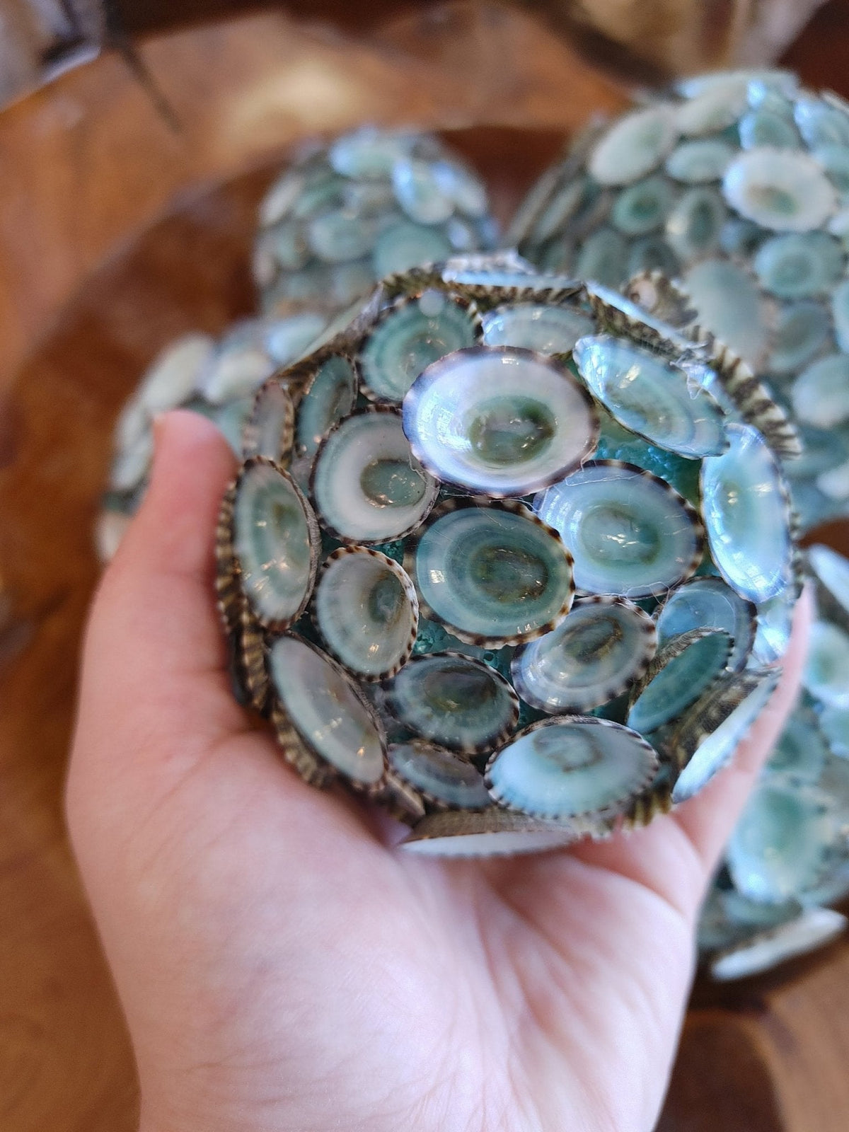 Blue Green Limpet Shell Sphere Ball