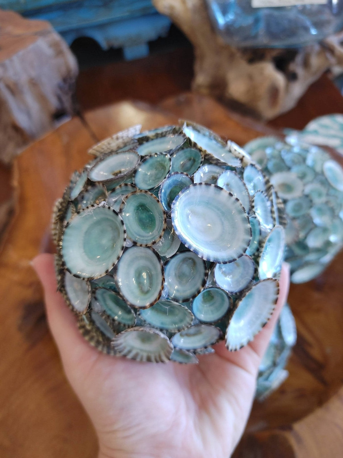 Blue Green Limpet Shell Sphere Ball
