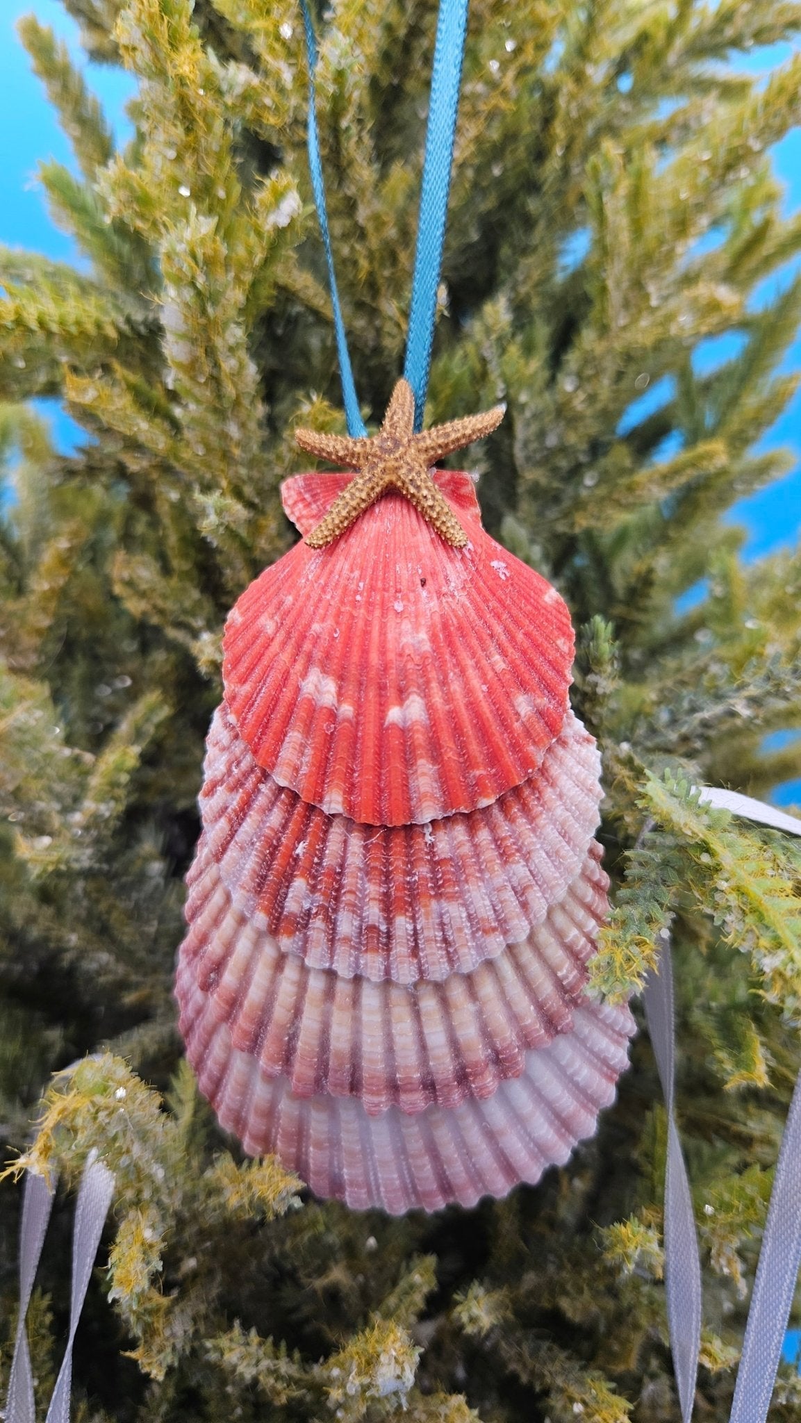 Christmas Ornament – Coastal Scallop Shell Holiday Decor Handmade (Choice of 4 Styles)