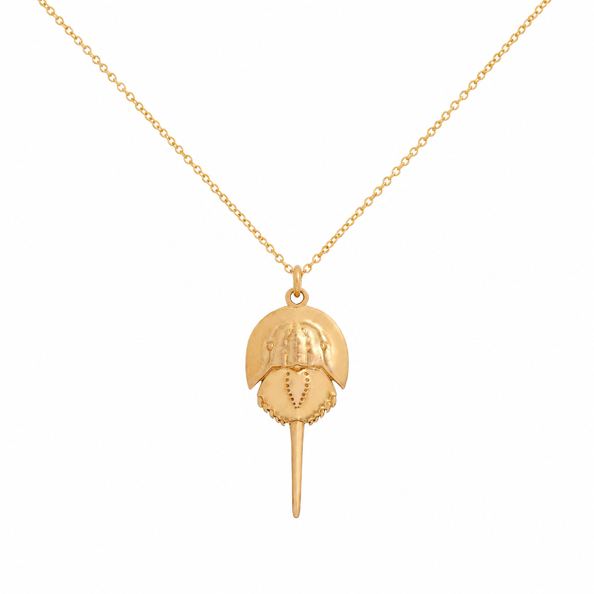 Horseshoe Crab Necklace | Bronze Coastal Pendant on Gold Filled Chain