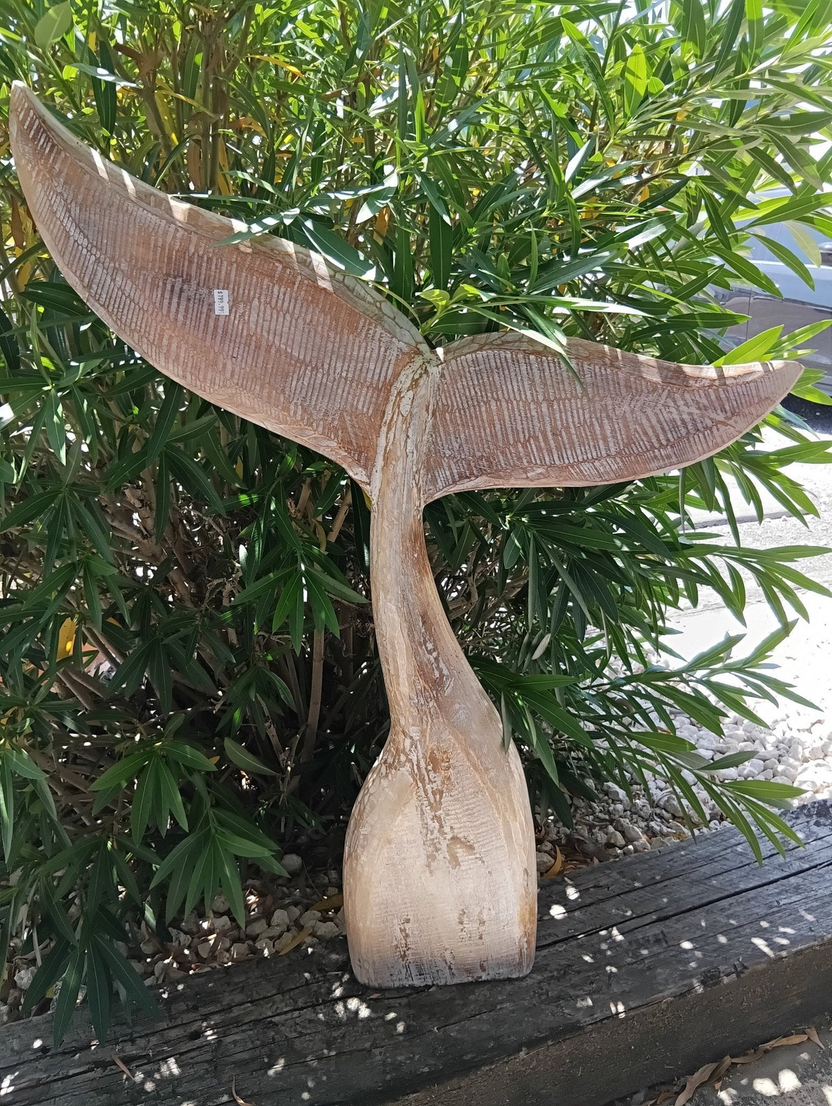 Large Handcrafted Natural Wooden Whale Tail