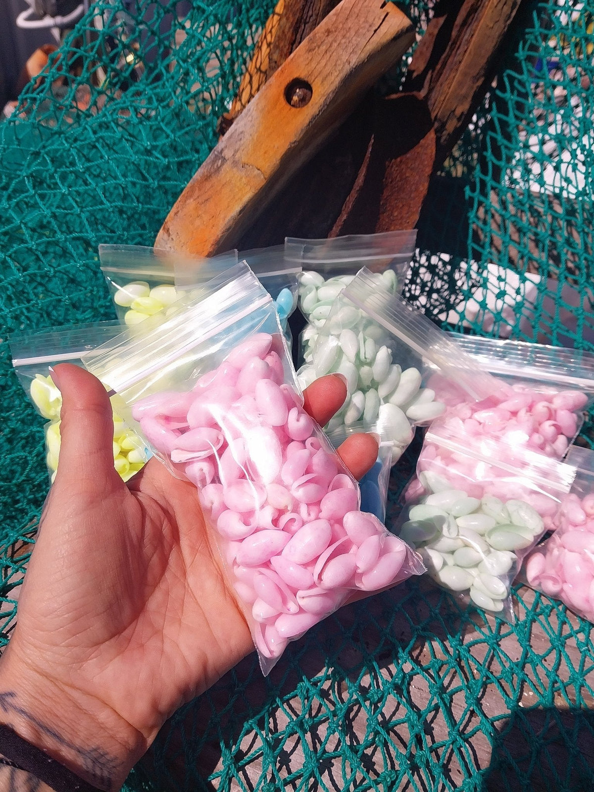 Bulk Pastel Dyed Bubble Shells – 3 oz Bag (80 Pieces) Craft & DIY Supplies