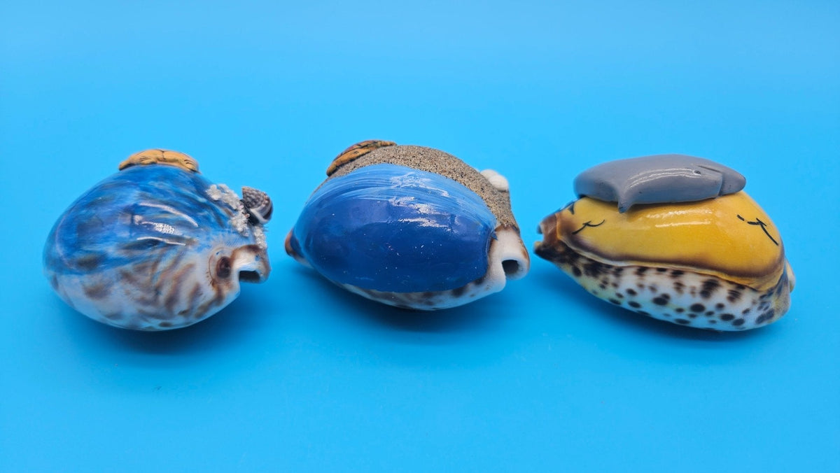 Painted Cowrie Shell Magnets – Coastal Decor Sea Turtle, Dolphin, or Sand Scene 2.5–3"