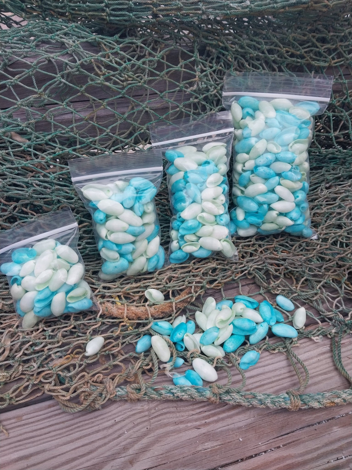 Bulk Pastel Dyed Bubble Shells – 3 oz Bag (80 Pieces) Craft & DIY Supplies