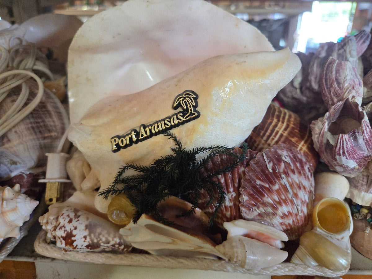 Pink Queen Conch Shell Vintage Novelty Light