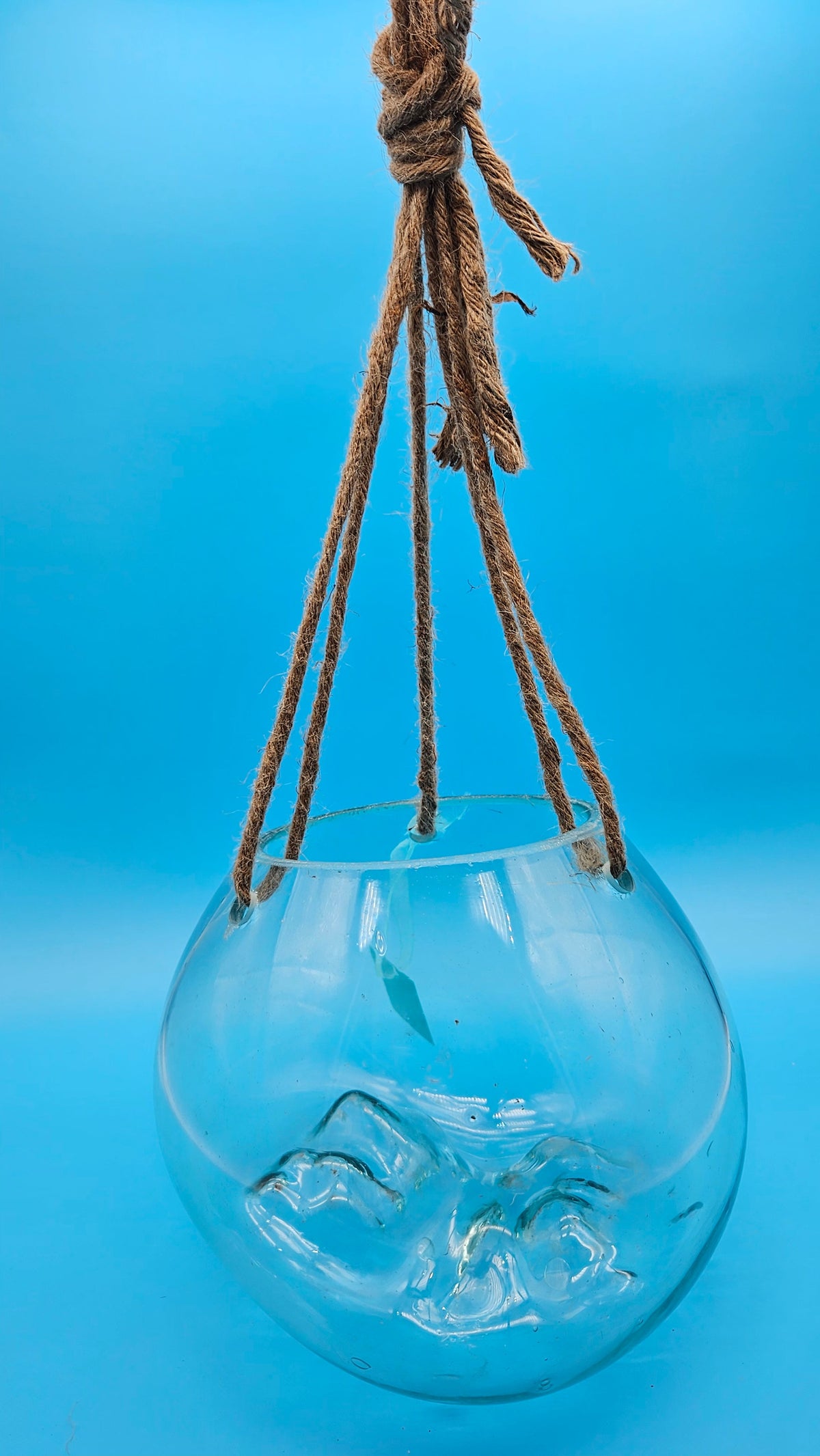 Hanging Fluid Freeform Glass Molten Terrarium with Rope