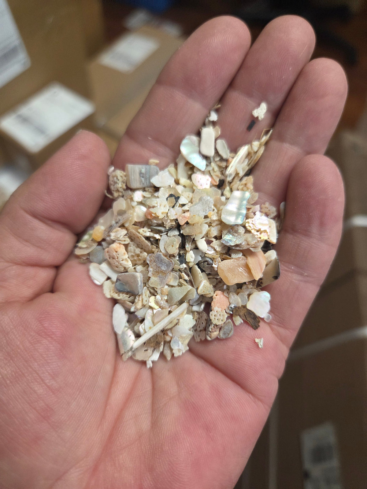 Tumbled Abalone Shell Pieces – Polished Natural Shell Chips for Crafts, Decor & Jewelry (Small)