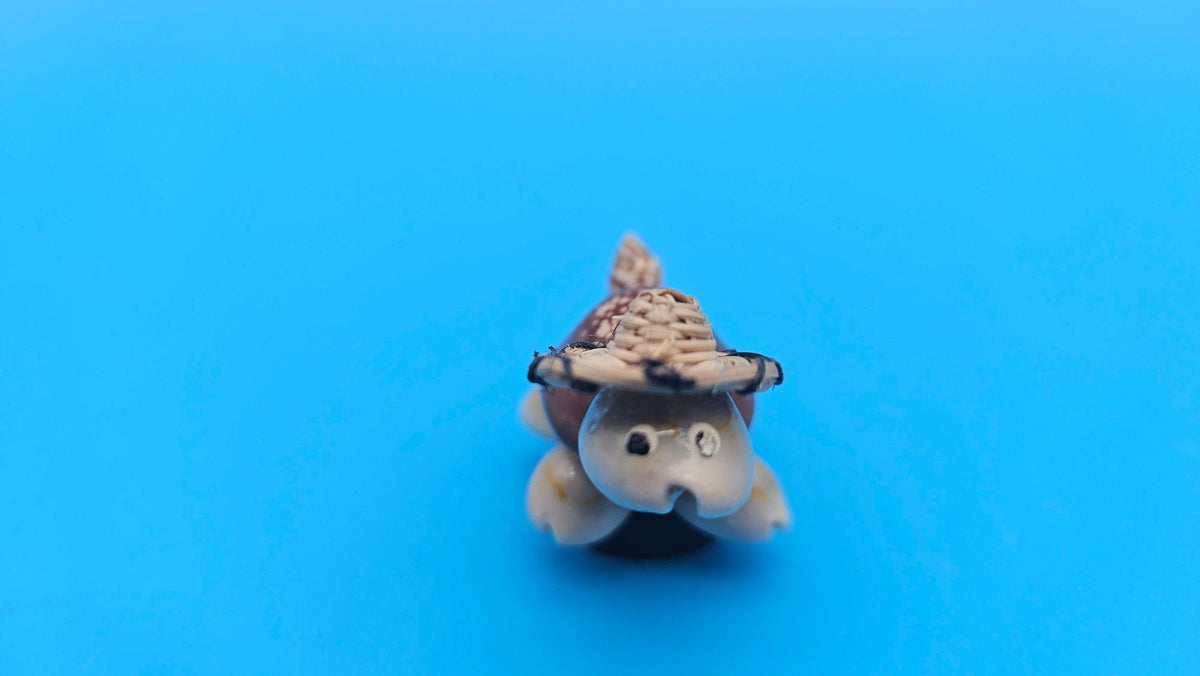 Seashell Critter Magnets – Coastal Home Decor Turtle or Kitty 1.5–2"
