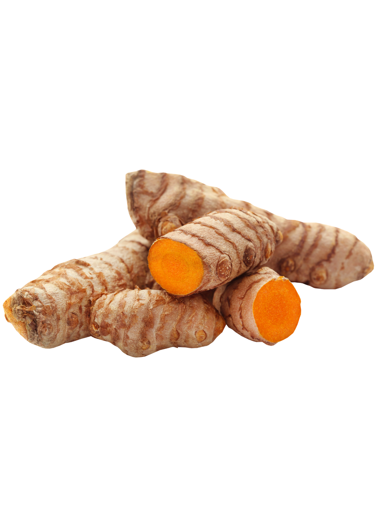 Turmeric, Orange (Curcuma longa)