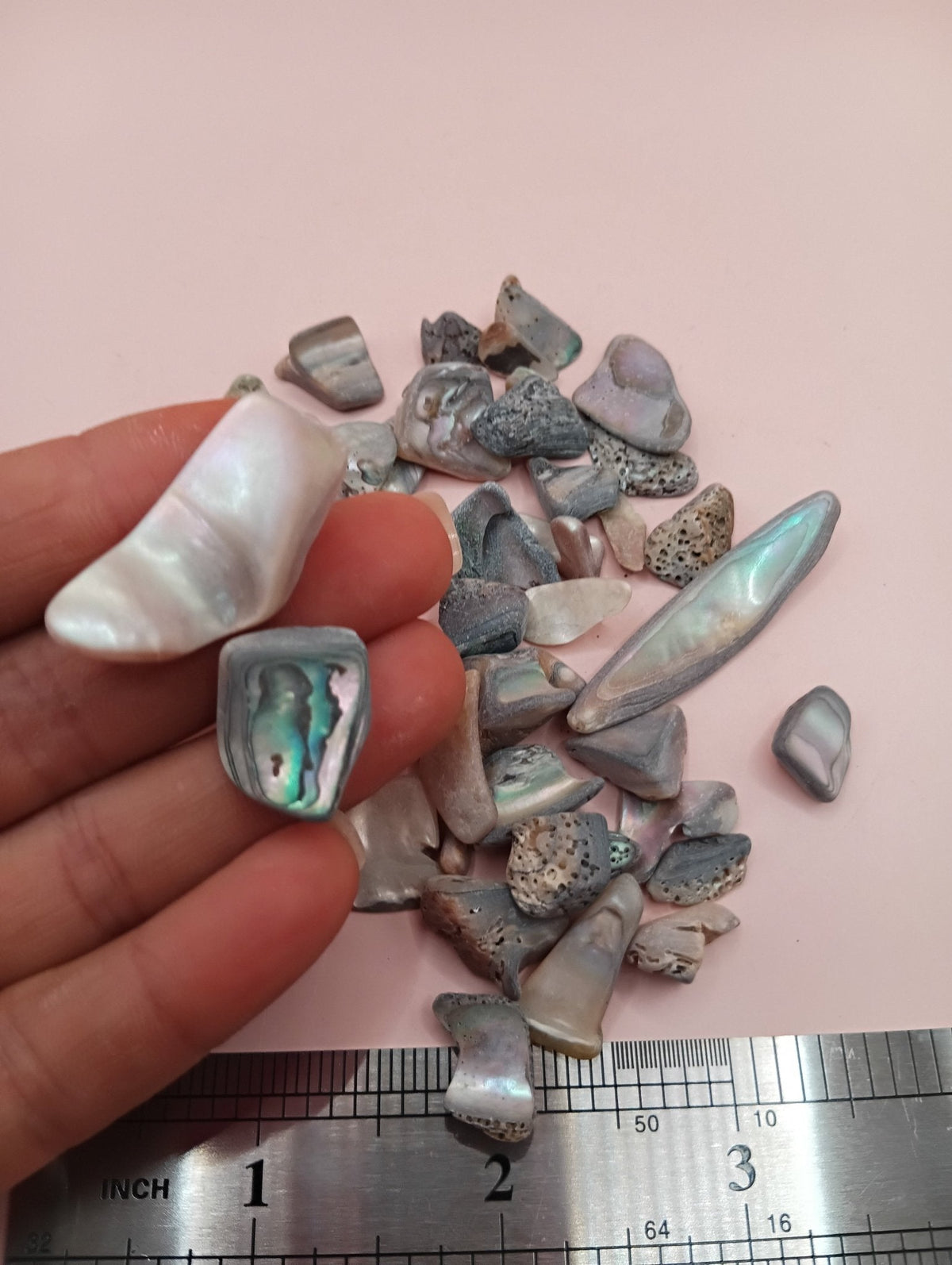 Tumbled Abalone Shell Pieces – Polished Natural Shell Chips for Crafts, Decor & Jewelry (Small)