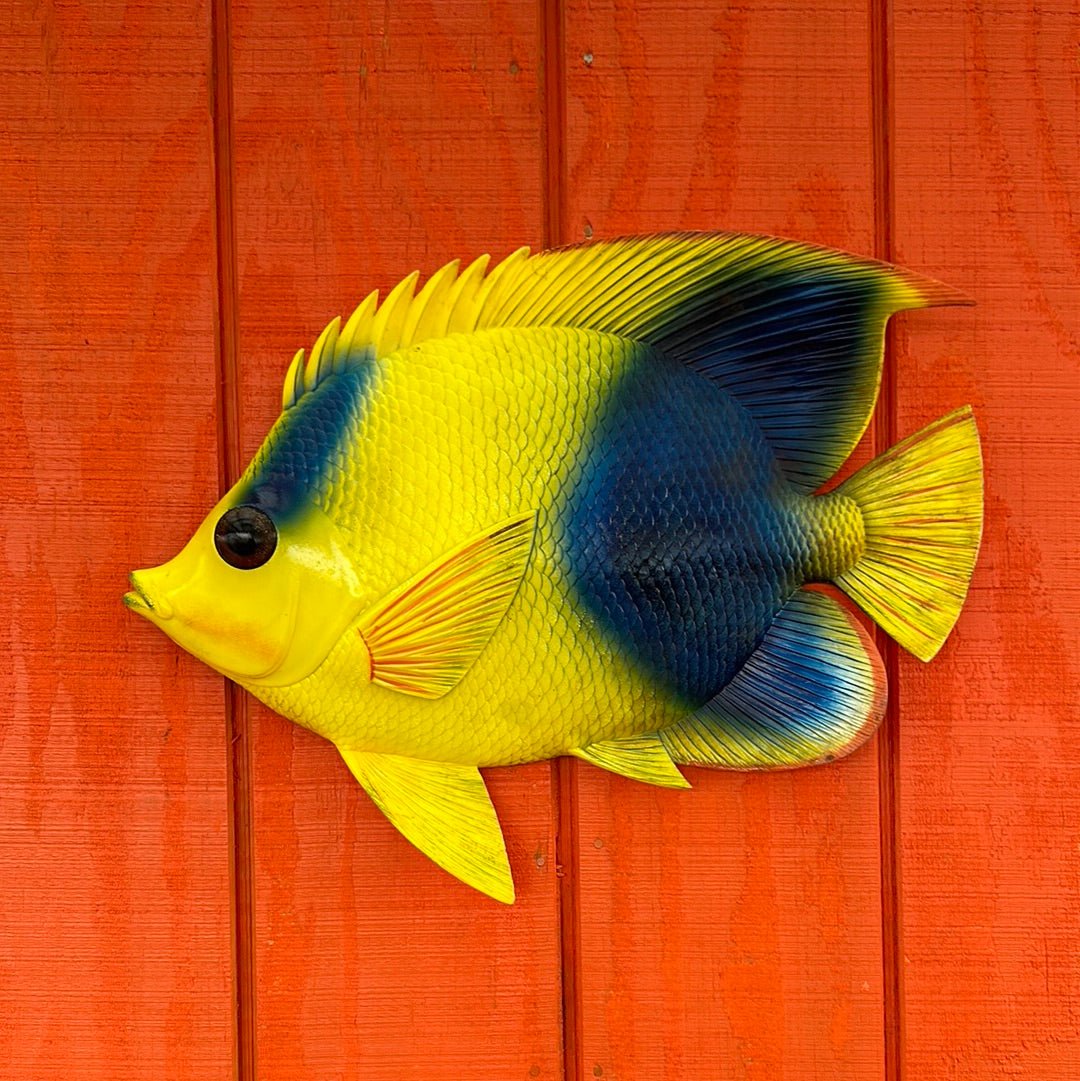 Wall Decor Fish Accent